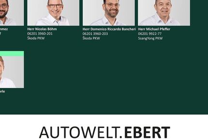 Skoda Kamiq 33.800 km 24.890 &euro; Weinheim 69469