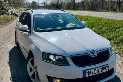 Skoda Octavia 250.000 km 8.000 € Ludwigshafen am Rhein 67059