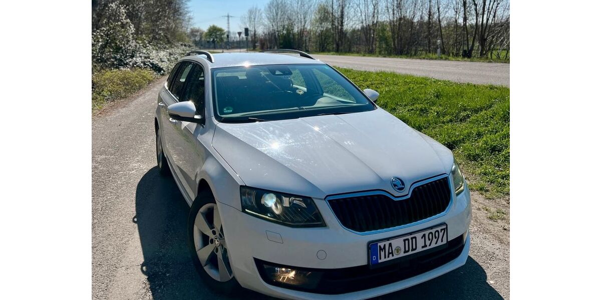 Skoda Octavia 250.000 km 8.000 € Ludwigshafen am Rhein 67059