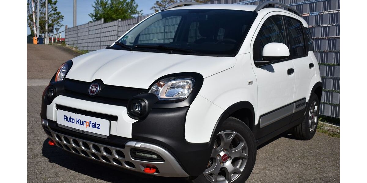 Fiat Panda 60.685 km 11.500 &euro; LUDWIGSHAFEN am RHEIN 67065