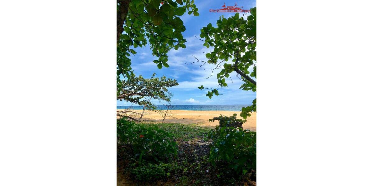 Grundstück in Costa Rica in einer der blauen Zonen der Erde - Grundstück Mannheim Innenstadt | Angebot:6421934