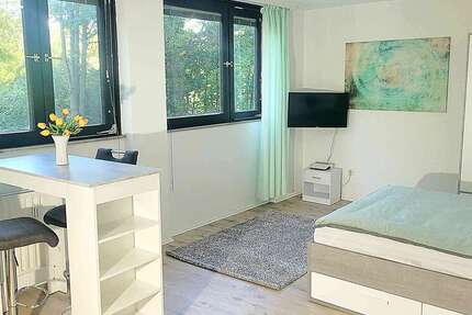 Wohnung zum Mieten in Ludwigshafen am Rhein 615 € 29 m² 1 zimmer