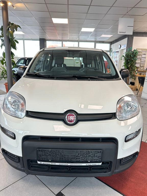 Panda