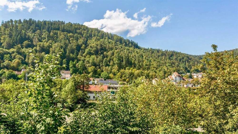 Mehrfamilienhaus, Wohnhaus Eberbach Eberbach - 1 Zimmer, 241 m&sup2;, 367.000&euro; | Angebot:24748503
