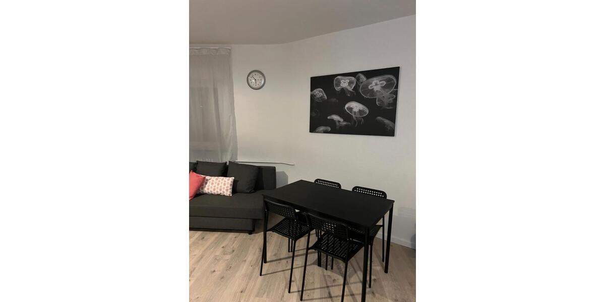 Etagenwohnung Mannheim Fahrlach - 1 Zimmer, 33 m&sup2;, 195.000&euro; | Angebot:26130405