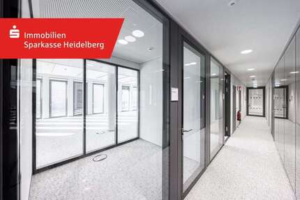 Büro in Heidelberg 12.472,90 € 667 m² zimmer