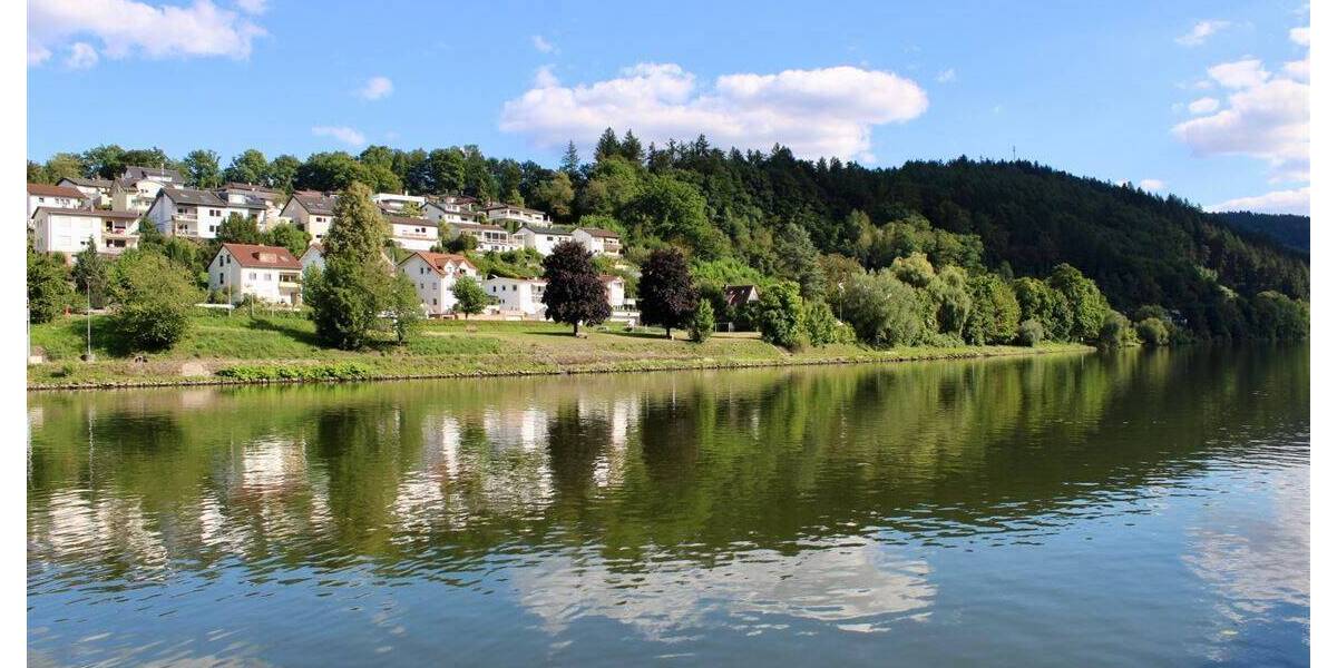 Mehrfamilienhaus, Wohnhaus Hirschhorn - 1 Zimmer, 285 m&sup2;, 480.000&euro; | Angebot:25678574