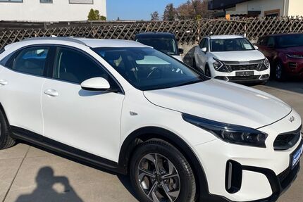 Kia XCeed 34.000 km 15.999 &euro; Neuhofen 67141