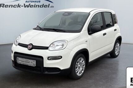 Fiat New Panda