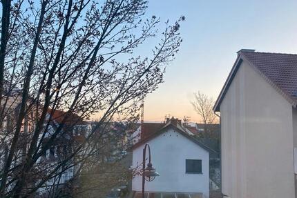 Wohnung Schwetzingen - 2 Zimmer, 36 m&sup2;, 300.000&euro; | Angebot:27076986