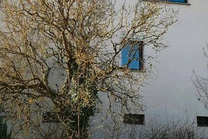 Haus Wiesenbach - 3 Zimmer, 85 m&sup2;, 299.000&euro; | Angebot:27067485