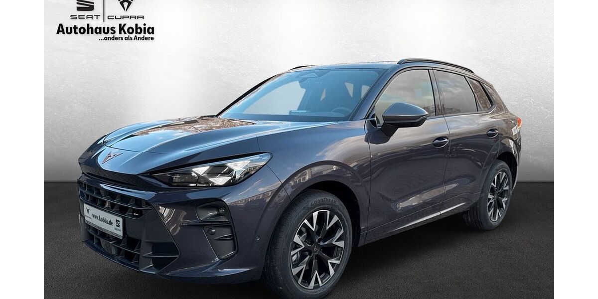 Cupra Terramar 1.600 km 45.890 &euro; Sinsheim 74889