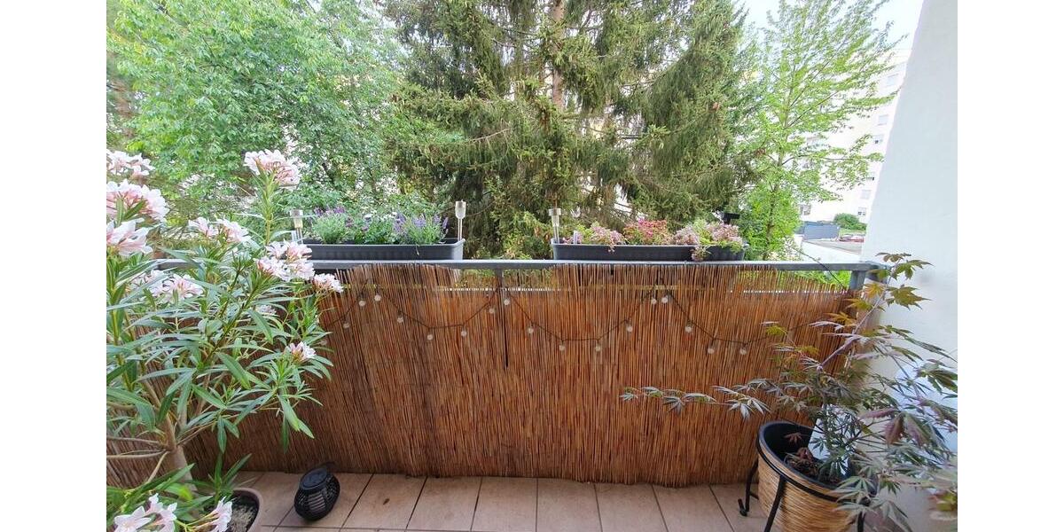 Etagenwohnung Speyer - 2 Zimmer, 62 m&sup2;, 254.000&euro; | Angebot:25870626