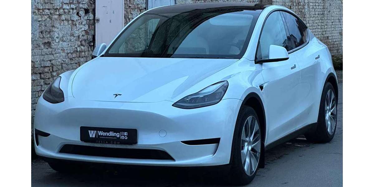 Tesla Model Y 199.800 km 22.980 &euro; Speyer 67346