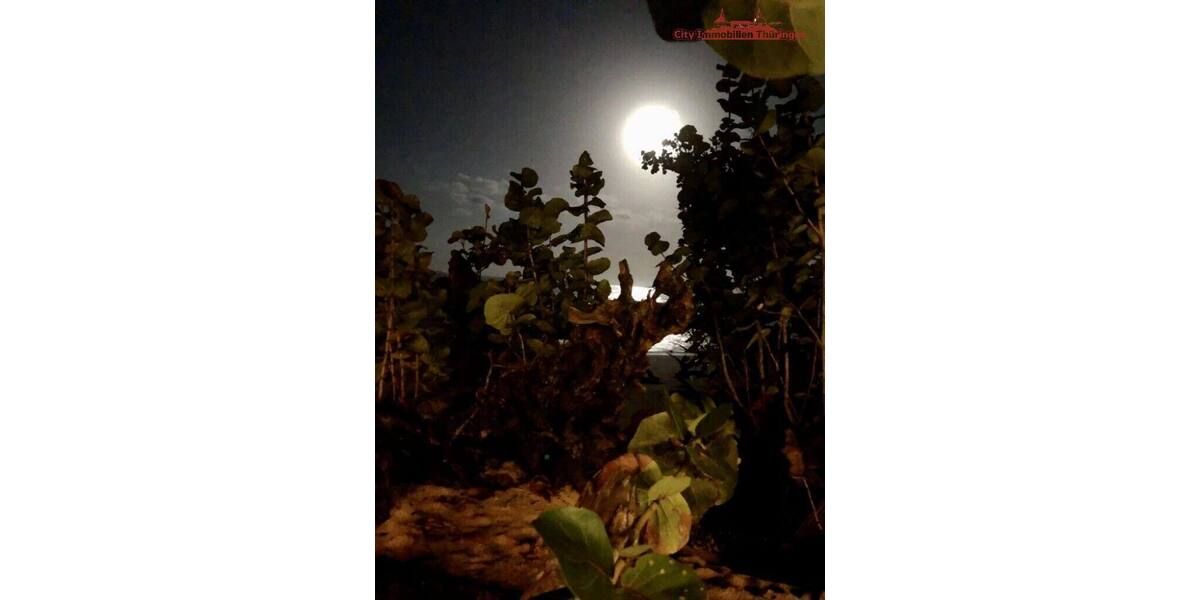 Grundstück in Costa Rica in einer der blauen Zonen der Erde - Grundstück Mannheim Innenstadt | Angebot:6421934