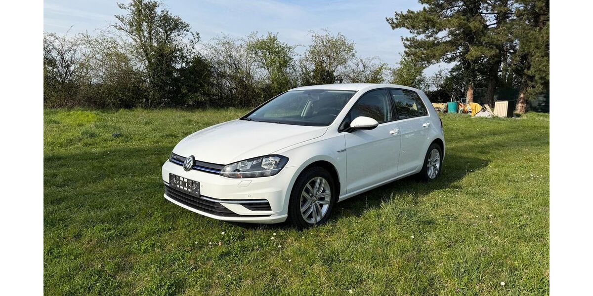 VW Golf 53.750 km 13.990 &euro; frankenthal 67227
