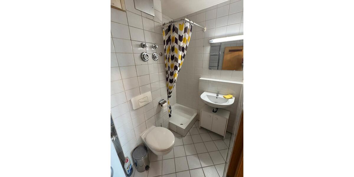 Dachgeschoßwohnung Ludwigshafen am Rhein Edigheim - 1 Zimmer, 27 m&sup2;, 550&euro; | Angebot:26538128