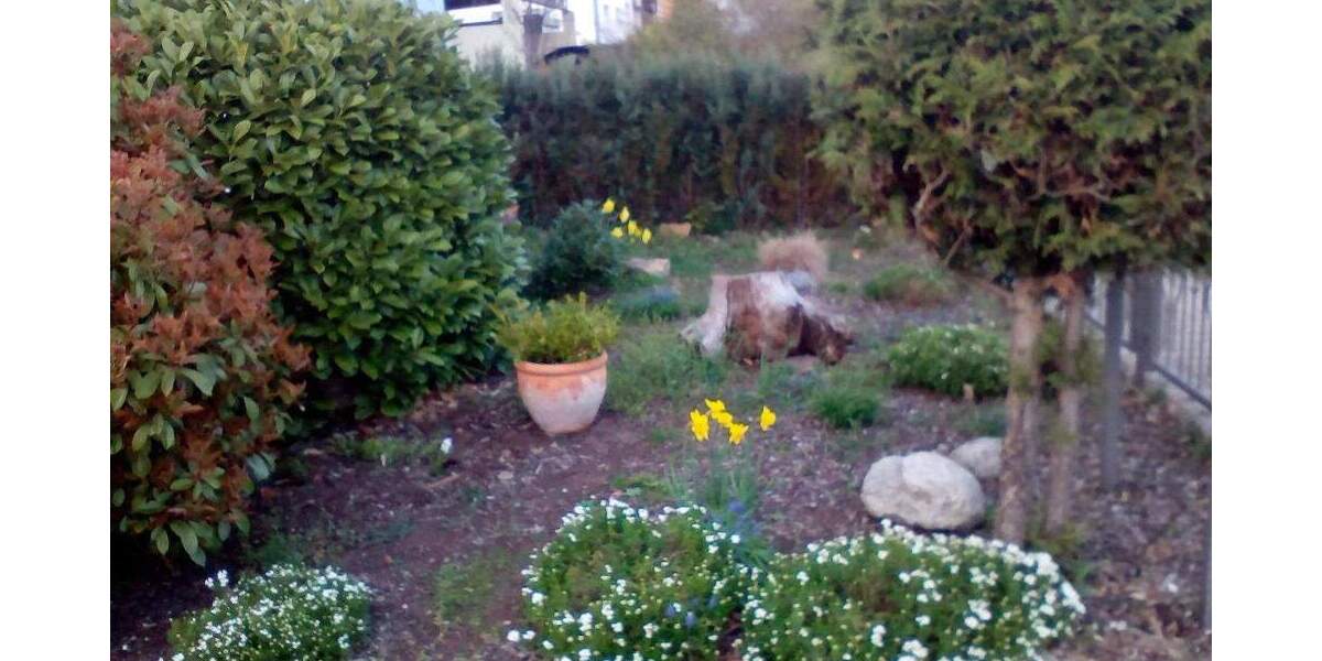 Sonnige DHH in Walldorf mit Garten, Wintergarten und Einbauküche von privat 5 zimmer