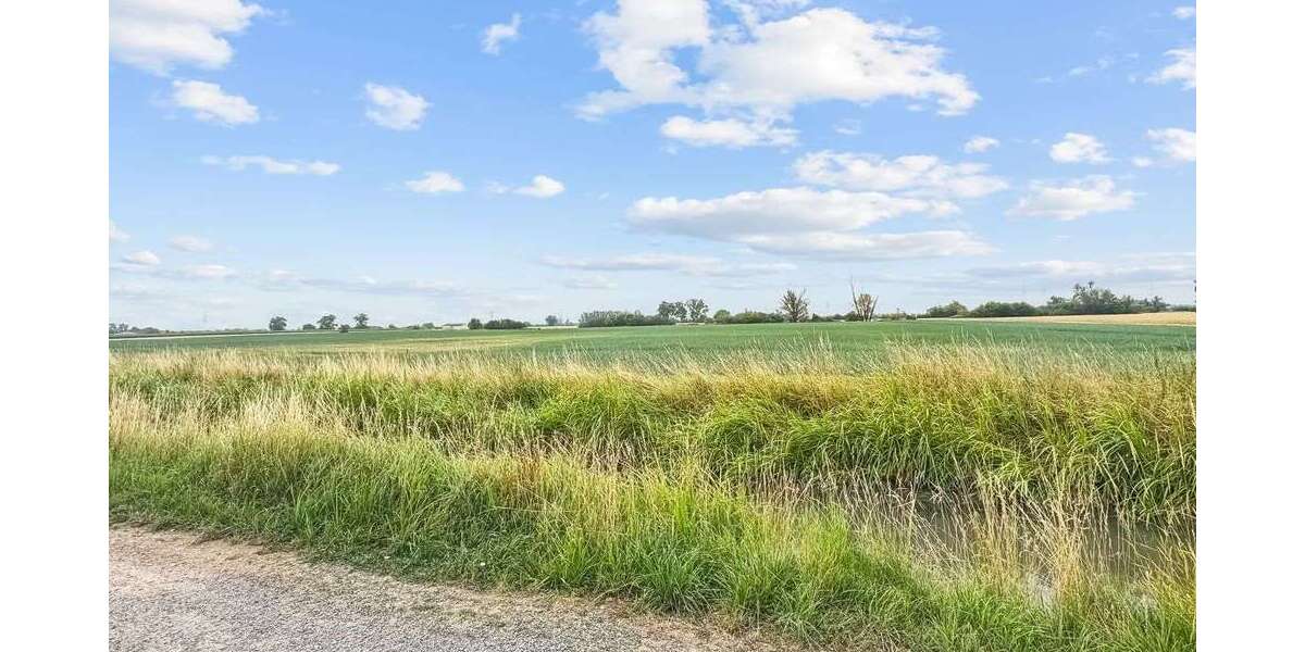 Grundstück Lampertheim - 450.000&euro; | Angebot:21709700