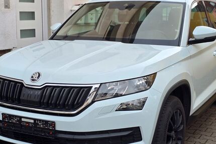 Skoda Kodiaq 162.550 km 17.990 &euro; Heidelberg 69124