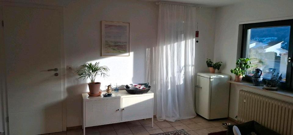 Terrassenwohnung Heidelberg Peterstal - 2 Zimmer, 58 m&sup2;, 950&euro; | Angebot:25390636