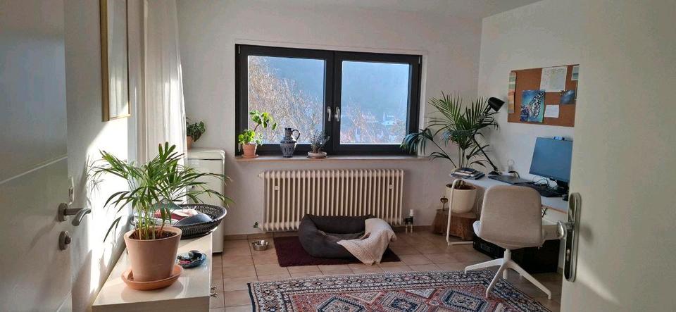 Terrassenwohnung Heidelberg Peterstal - 2 Zimmer, 58 m&sup2;, 950&euro; | Angebot:25390636