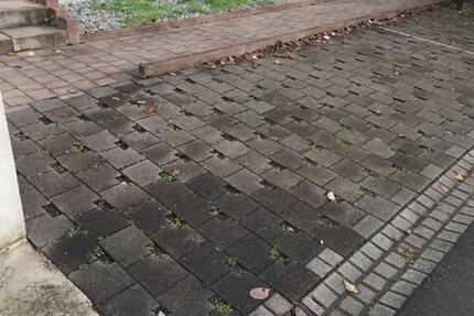 Stellplatz zu vermieten in Frankenthal zimmer