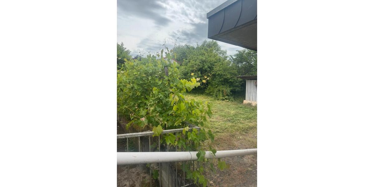 Einfamilienhaus Dielheim - 4 Zimmer, 100 m&sup2;, 350.000&euro; | Angebot:27024289