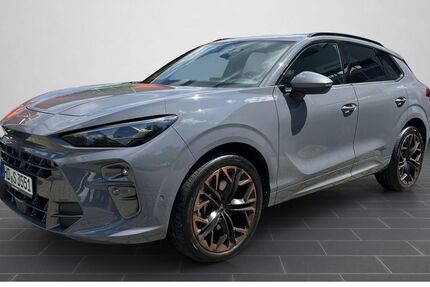 Cupra Terramar 11.900 km 56.380 &euro; Heidelberg 69123