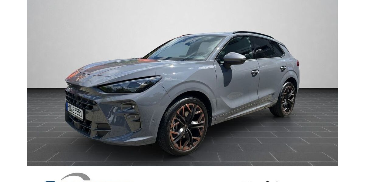 Cupra Terramar 11.900 km 56.380 &euro; Heidelberg 69123