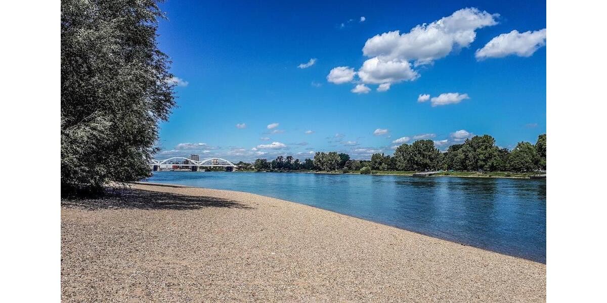 2 Zimmer Möblierte Wohnung (befristet für 12 Monate) 2 zimmer