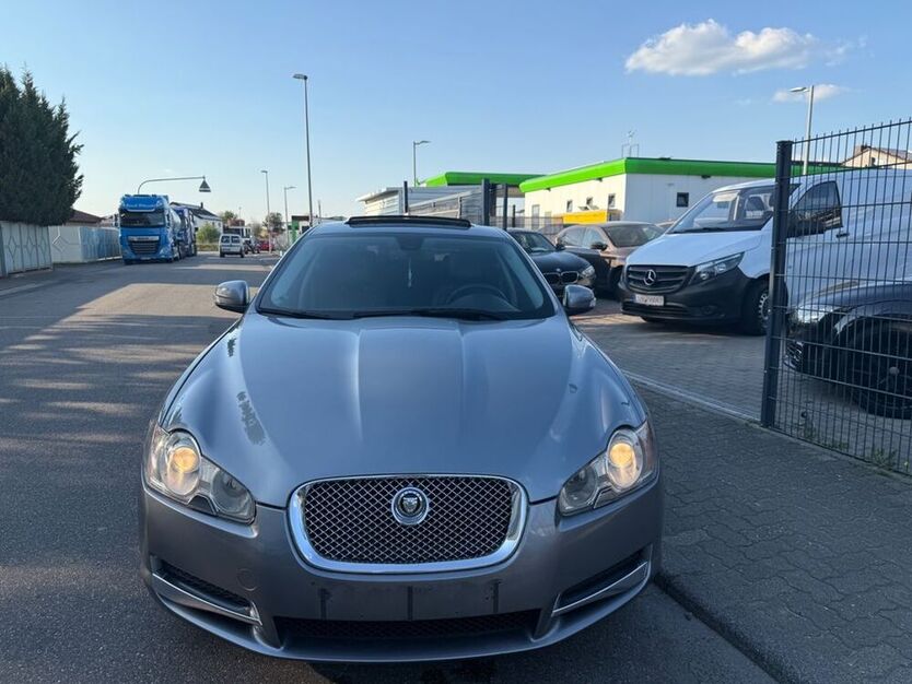 XF