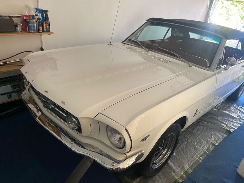 Mustang