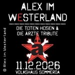 Alex im Westerland Tribute Show - Die Toten Hosen & Die Ärzte Tribute Band