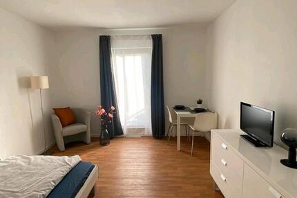 Wohnung Mannheim Fahrlach - 1 Zimmer, 22 m&sup2;, 870&euro; | Angebot:25381686