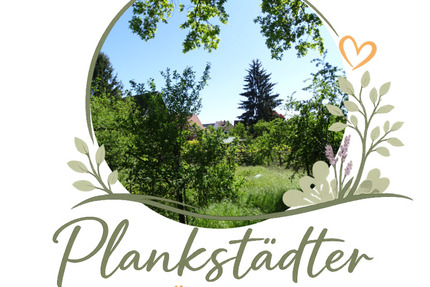 Haus Plankstadt - 5 Zimmer, 120 m&sup2;, 677.500&euro; | Angebot:26343464