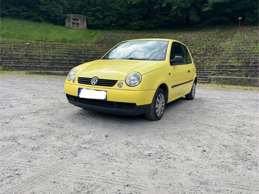 Lupo