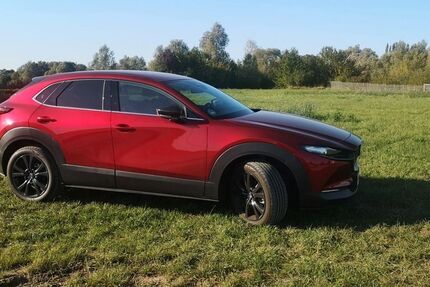 Mazda CX-30 2.500 km 33.500 € Heppenheim an der Bergstrasse 64646