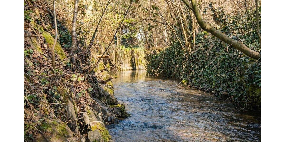 Einfamilienhaus Wiesenbach - 8 Zimmer, 223 m&sup2;, 500.000&euro; | Angebot:26307284