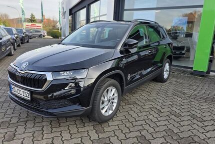 Skoda Karoq 13.000 km 31.980 € Meckesheim 74909