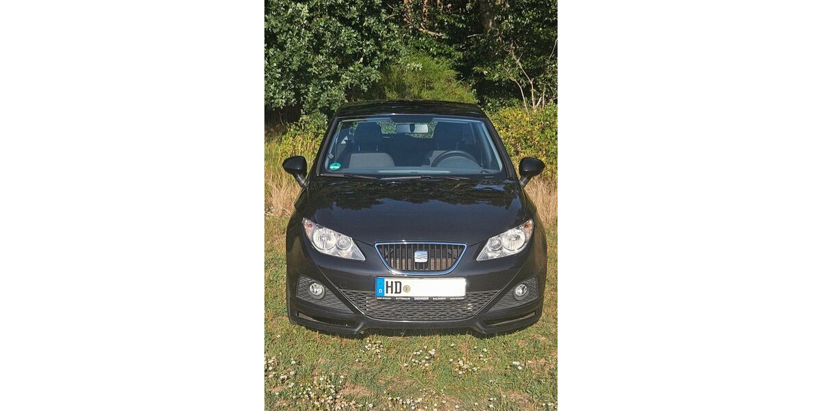 Seat Ibiza 169.340 km 2.555 &euro; Hockenheim 68766