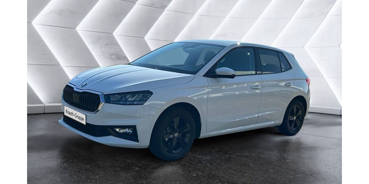 Skoda Fabia 10.200 km 16.600 &euro; Hockenheim 68766