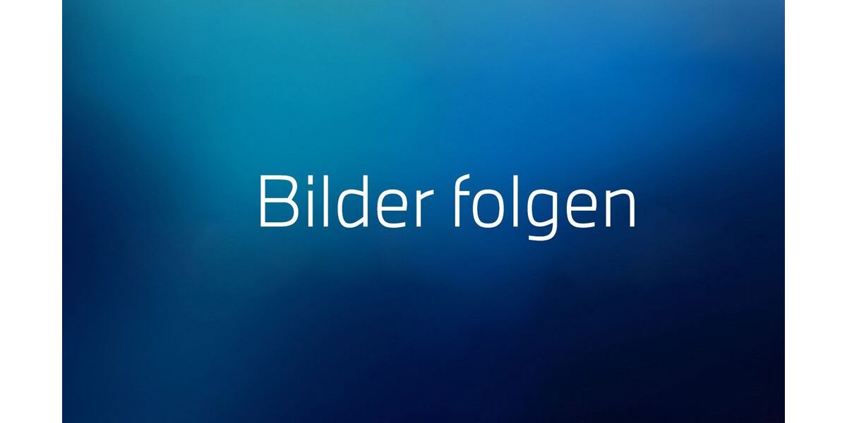 BMW 520 12.500 km 66.900 &euro; Heidelberg 69123