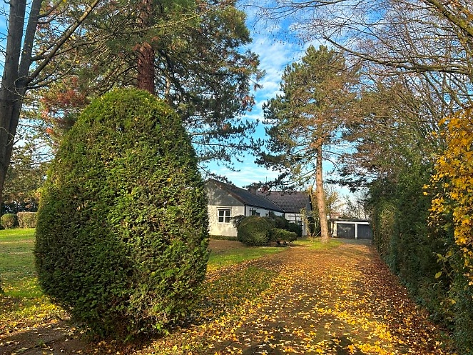 Gewerbeobjekt Frankenthal - 1.200.000&euro; | Angebot:25879558