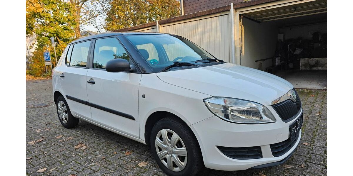 Skoda Fabia 114.000 km 4.699 € Speyer 67346