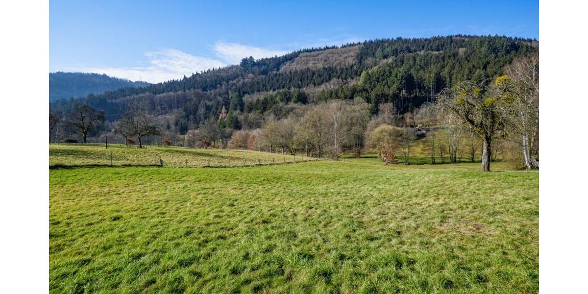 Gewerbeobjekt Wald-Michelbach / Unter-Schönmattenwag Unter-Schönmattenwag - 250.000&euro; | Angebot:23881254