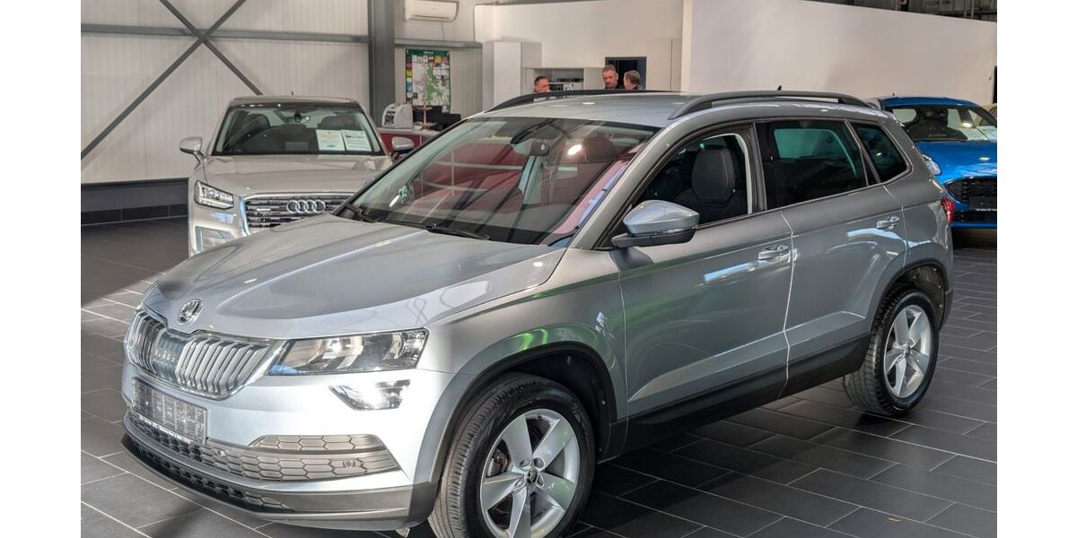 Skoda Karoq 116.000 km 19.900 € Weinheim 69469