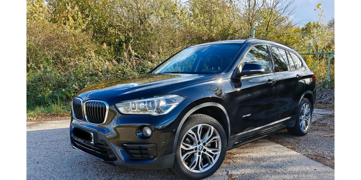 BMW X1 38.500 km 22.800 € Römerberg 67354