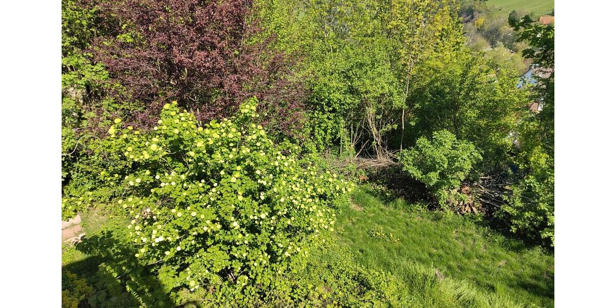 Einfamilienhaus Mörlenbach - 4 Zimmer, 100 m&sup2;, 220.000&euro; | Angebot:26406544