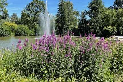 Wohnung Bad Schönborn Bad Mingolsheim - 4 Zimmer, 133 m&sup2;, 799.800&euro; | Angebot:25530391